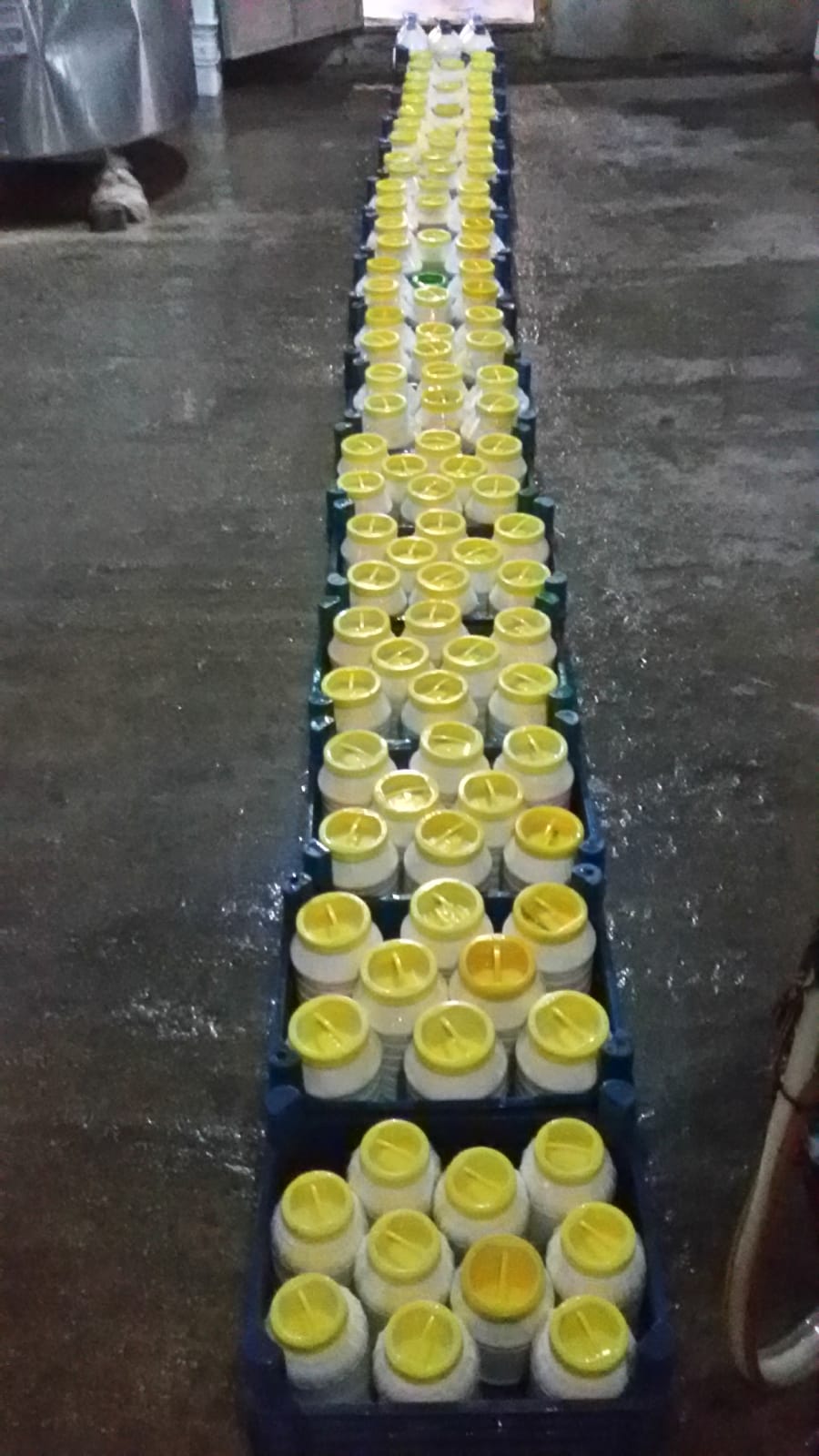 Asaf Tarım ve Hayvancılık